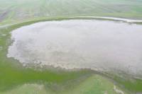 Naturally saved from drought, Turkish lake haven for birds again