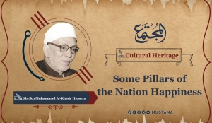 Some Pillars of the Nation Happiness