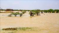 Africa’s Sahel: Thousands need urgent aid over floods