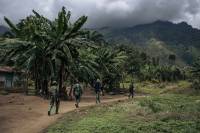 30 killed after ADF attacks east DR Congo: Red Cross