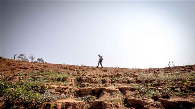 The Amazon Rainforest Faces a Serious Drought