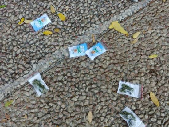 Hundreds of bags of cannabis fell from the sky in occupied Palestine, dropped by a &#039;green drone&#039; on a Tel Aviv square