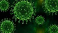 US calls for 2nd phase of study into origins of novel coronavirus