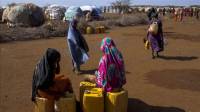 FAO appeals for over $130M to assist 882,000 people across drought-hit Somalia