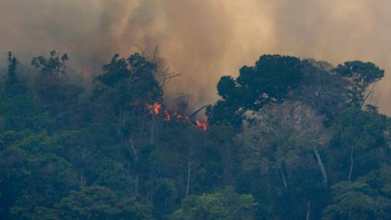 Brazil renews spat with France over Amazon deforestation