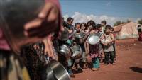 Global hunger figures rose to as many as 828M in 2021: UN