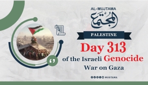 Day 313 of the Genocide War on Gaza