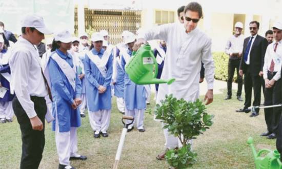 Pakistan’s tree-planting ambition in doubt after Imran Khan’s exit