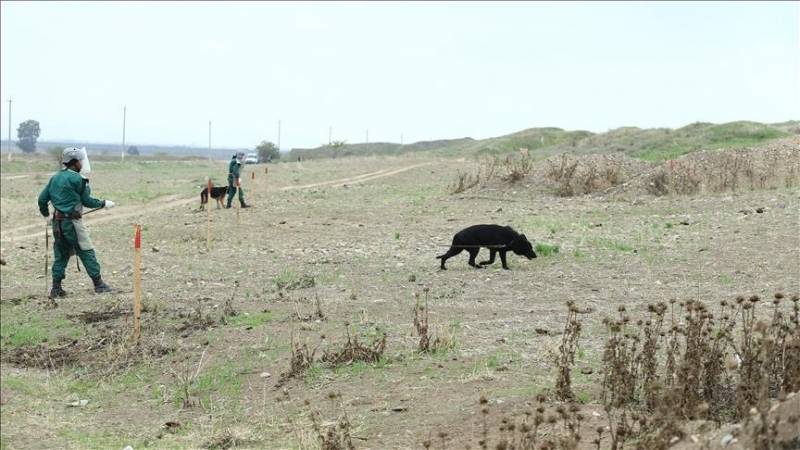 Azerbaijani civilian killed by Armenian mine left from occupation