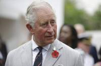 Environmental crisis will &#039;dwarf&#039; pandemic&#039;s damage, warns Prince Charles