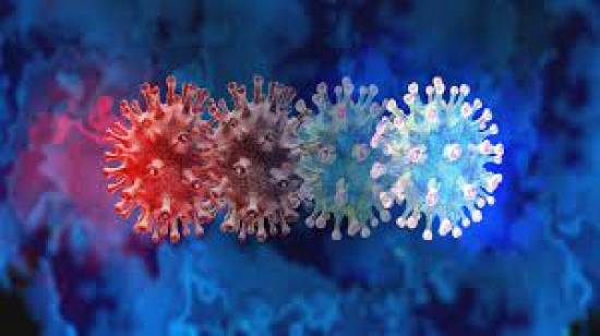 South Africa detects Indian, UK virus variants