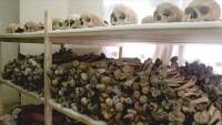 &#039;French allowed Rwanda genocide perpetrators to flee&#039;