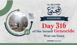 Day 316 of the Genocide War on Gaza