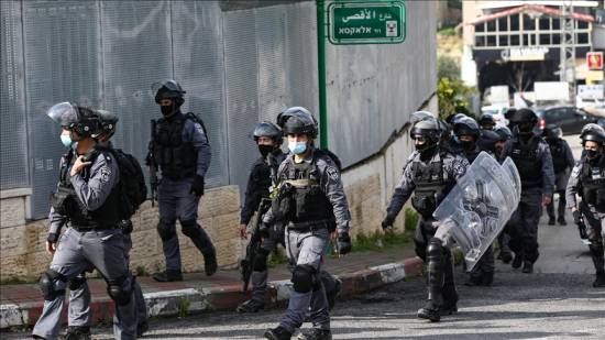 Police detain dozens of Arabs in Occupied Palestine