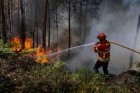 Scorching heat wave swelters Europe, sparks wildfires