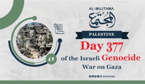 Day 377 of the Israeli Genocide War on Gaza