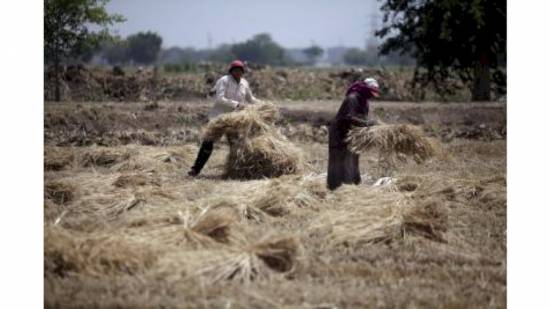 Egypt among most affected countries by climate change: minister