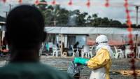 West African health ministers join fight against Ebola