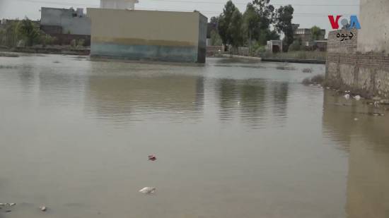 Huge Relief Operation for Pakistani Flood Survivors Gathers Steam