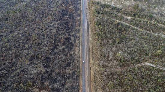 Deforestation in Amazon rainforest exceeds 11,000 km²