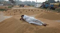 Food inflation fears grow as India restricts rice exports