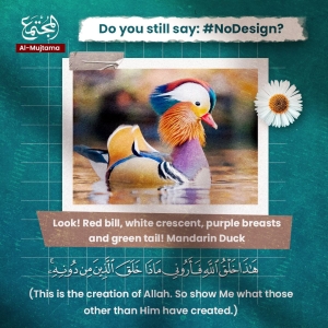 Do you still say : #nodesign ?